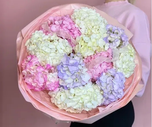 https://patioflowers.com.ua/kvity/